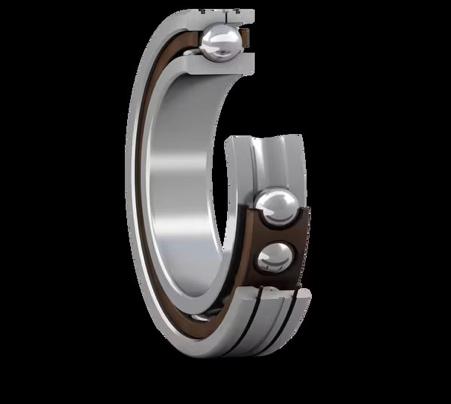 Single-row bearing cutaway image